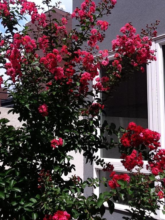 South Bridge Bed And Breakfast Philadelphie Extérieur photo